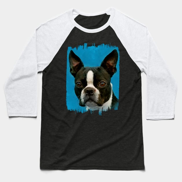 Boston Terrier dog Baseball T-Shirt by Nartissima